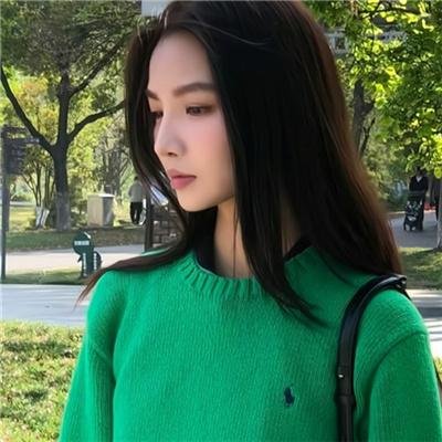 如翼之舟